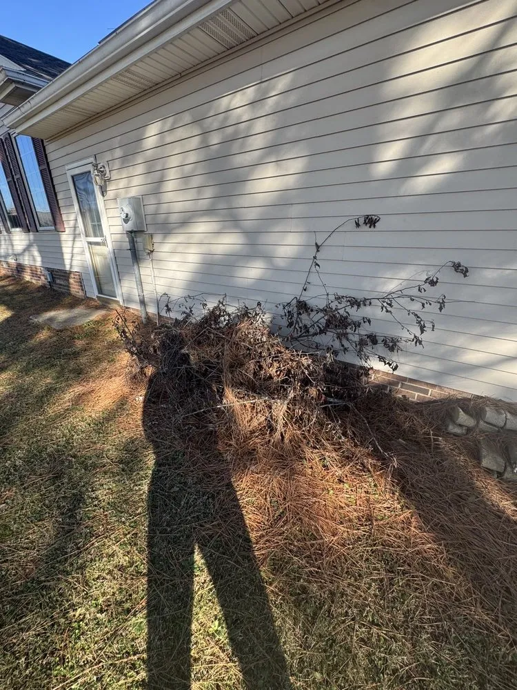 Professional yard maintenance for homes across Mayfield, KY - Gillespies Tree Service And Landscaping