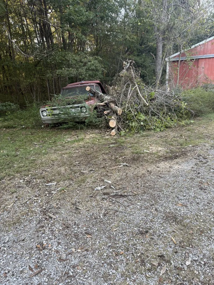 Custom landscape installation for beautiful yards in Mayfield, KY by Gillespies Tree Service And Landscaping