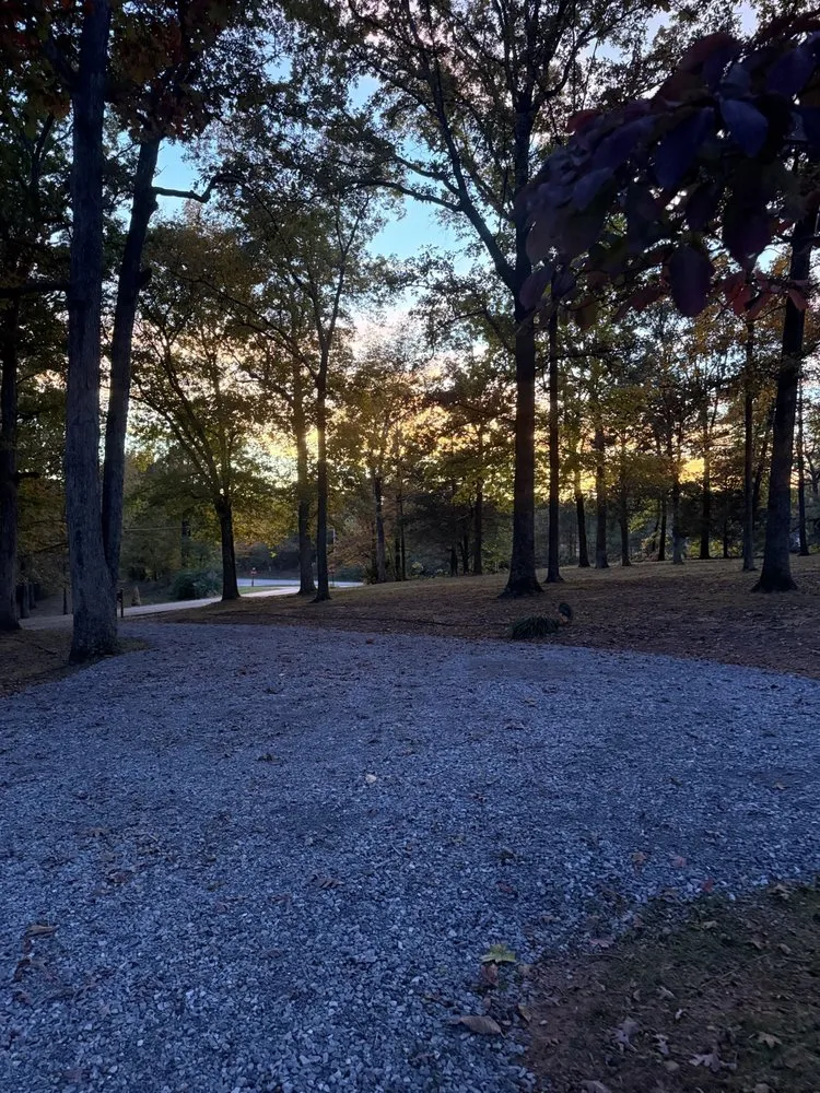 Professional landscape installation in Mayfield, KY by Gillespies Tree Service And Landscaping