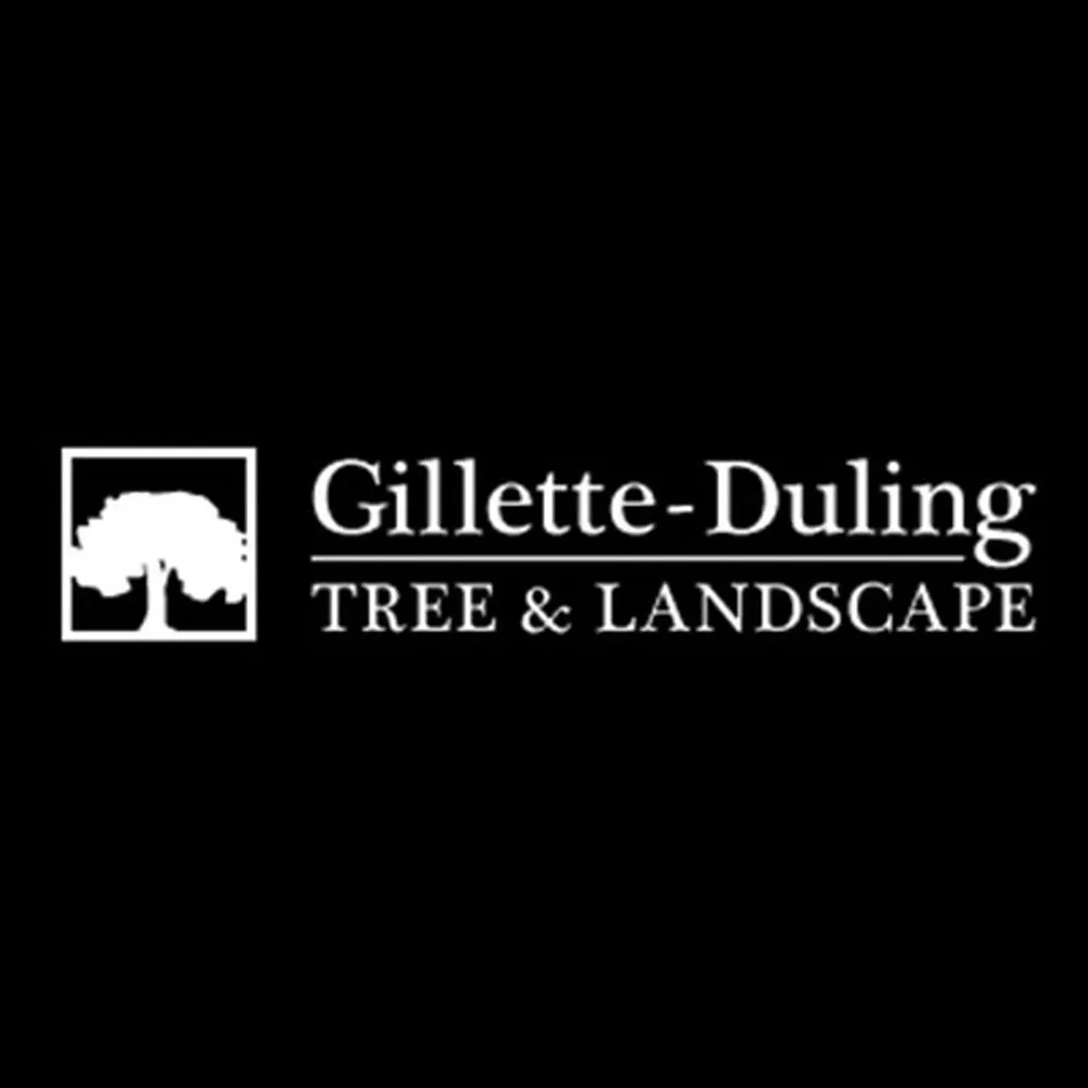 Reliable landscape installation in Muncie, IN by Gillette-Duling Tree & Landscape