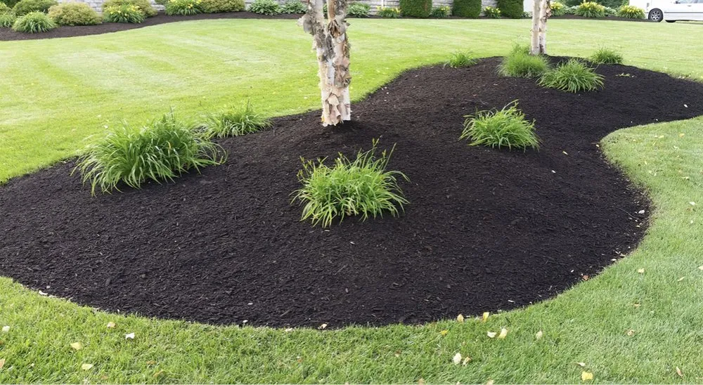 Reliable lawn mowing service experts serving Lakeville, MN - Gillette Landscaping and Lawncare