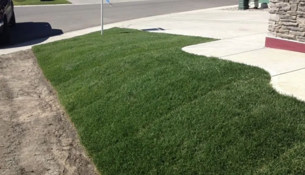 Reliable yard cleanup service experts serving Lakeville, MN - Gillette Landscaping and Lawncare