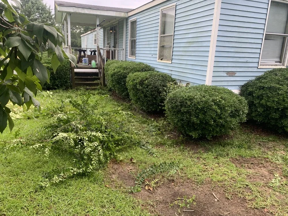 Expert lawn care service for outdoor upgrades across Deep Run, NC - Gillette Lawn Care