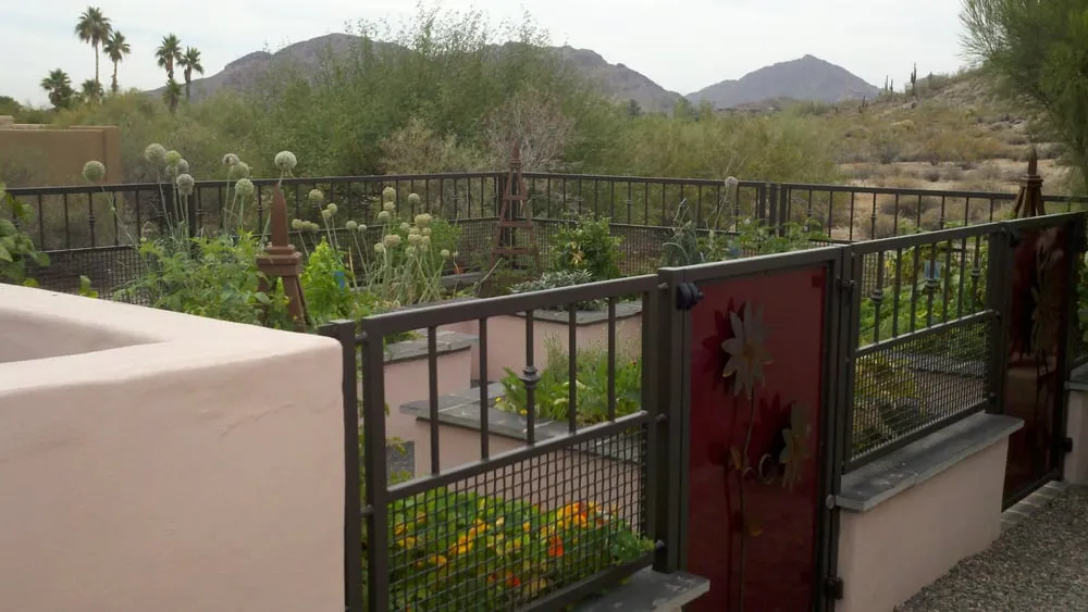 Professional yard maintenance in Scottsdale, AZ - Gilligan's Paradise Creations