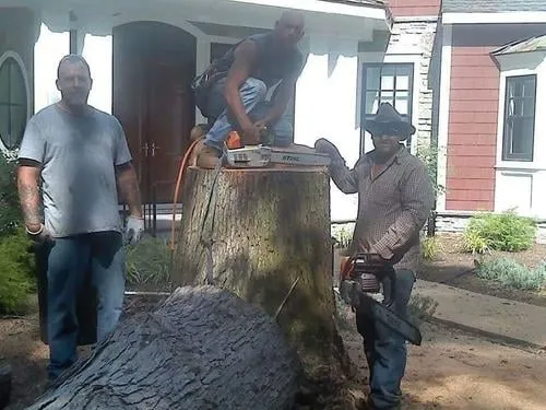 Professional yard maintenance in Berlin, MD by Gillin Tree Service