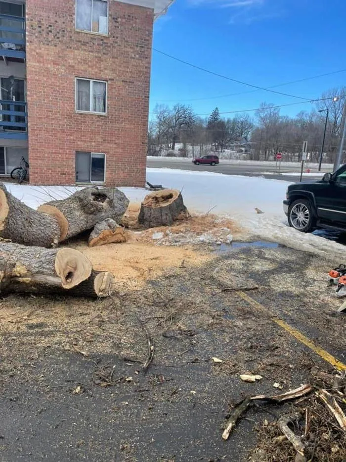 Reliable yard cleanup service experts serving Northfield, MN - Gillis Lawn & Tree Care