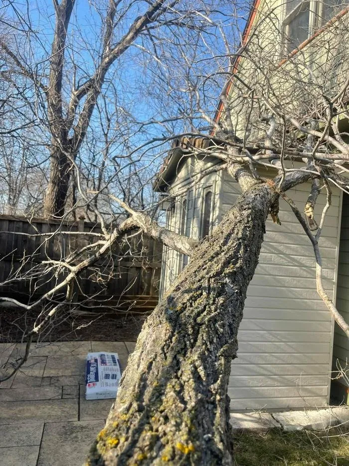 Trusted residential landscaping in Northfield, MN by Gillis Lawn & Tree Care