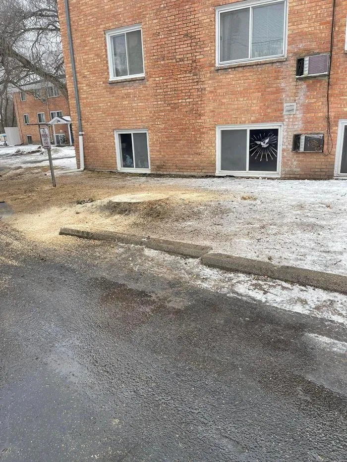 Reliable yard cleanup service in Northfield, MN - Gillis Lawn & Tree Care