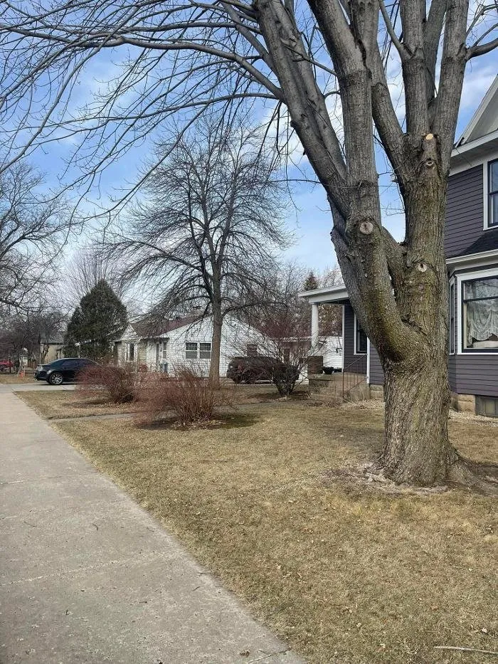 Custom yard maintenance for year-round maintenance in Northfield, MN by Gillis Lawn & Tree Care