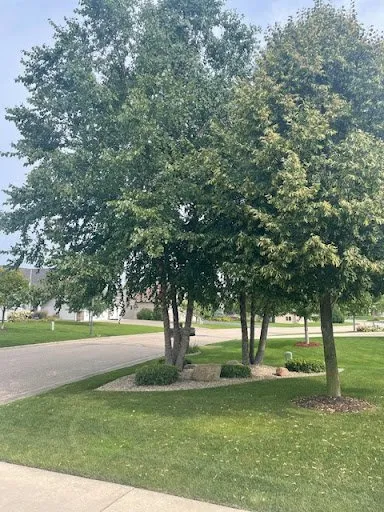 Local lawn mowing service experts serving Northfield, MN - Gillis Lawn & Tree Care