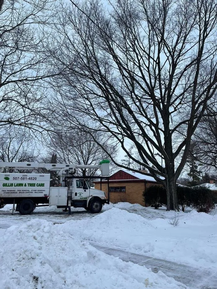 Affordable landscape installation for homes in Northfield, MN by Gillis Lawn & Tree Care