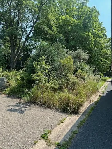 Reliable outdoor landscaping experts serving Northfield, MN - Gillis Lawn & Tree Care