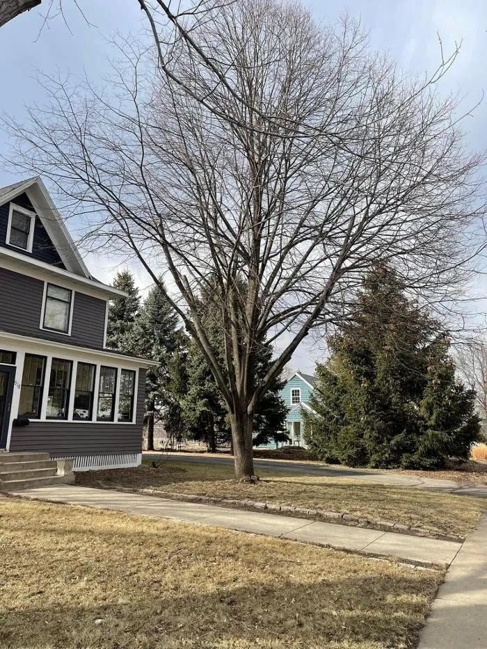 Affordable landscape installation in Northfield, MN - Gillis Lawn & Tree Care