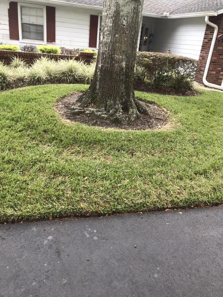 Top-rated landscape installation experts serving Deltona, FL - Gillison Lawn Care