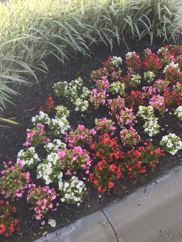 Reliable residential landscaping for homes in Deltona, FL by Gillison Lawn Care