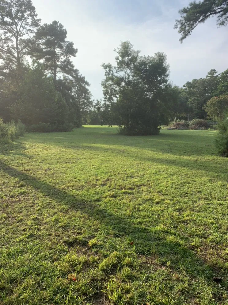 Expert yard cleanup service with custom design in Monticello, FL by Gillmore Green Lawn Care and Tree Removal