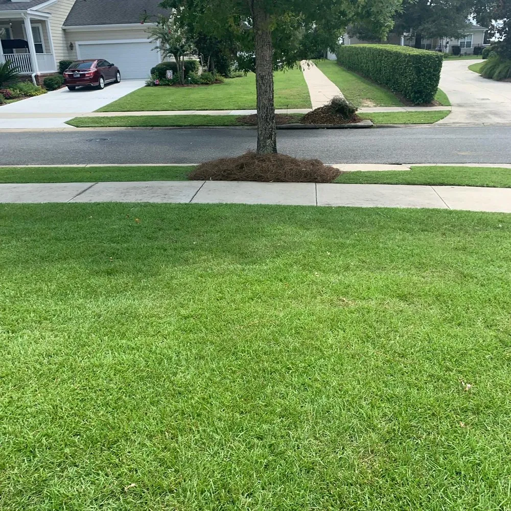 Top-rated lawn care service experts serving Monticello, FL - Gillmore Green Lawn Care and Tree Removal