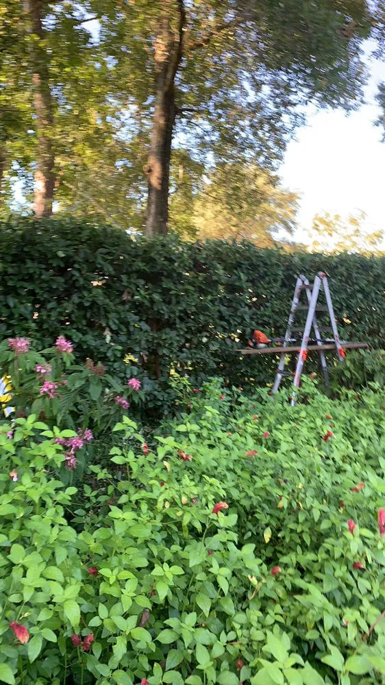 Expert garden landscaping near you in Monticello, FL by Gillmore Green Lawn Care and Tree Removal