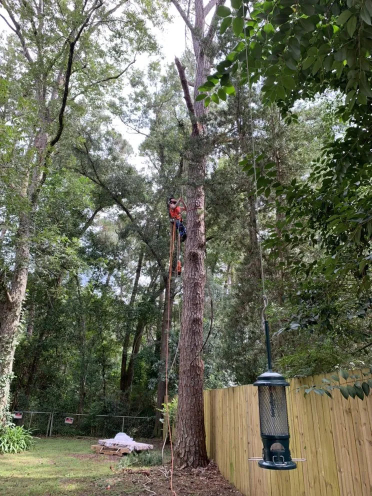 Custom residential landscaping with custom design across Monticello, FL - Gillmore Green Lawn Care and Tree Removal