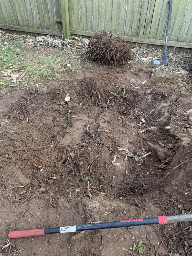 Affordable garden landscaping for homes across Monticello, FL - Gillmore Green Lawn Care and Tree Removal