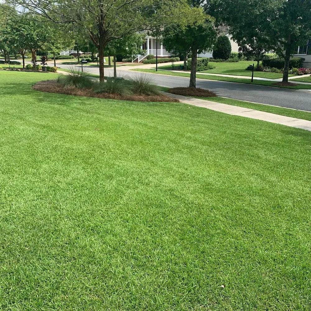 Trusted residential landscaping experts serving Monticello, FL - Gillmore Green Lawn Care and Tree Removal