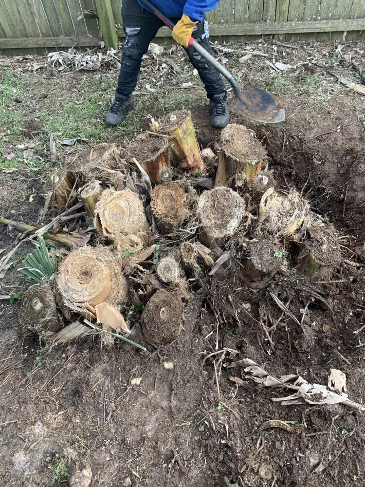 Top-rated landscaping services in Monticello, FL - Gillmore Green Lawn Care and Tree Removal