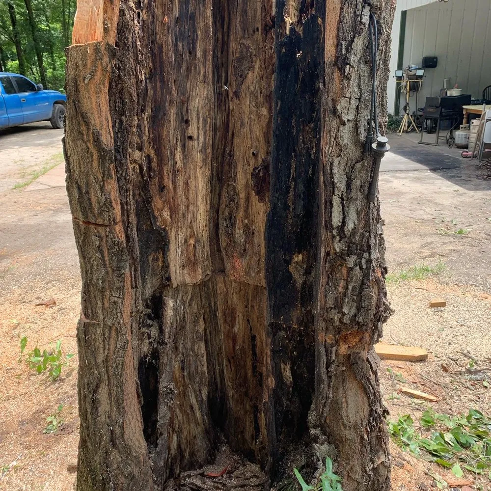 Local lawn care service for homes across Monticello, FL - Gillmore Green Lawn Care and Tree Removal