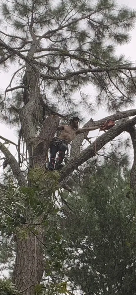 Expert lawn mowing service experts serving Monticello, FL - Gillmore Green Lawn Care and Tree Removal