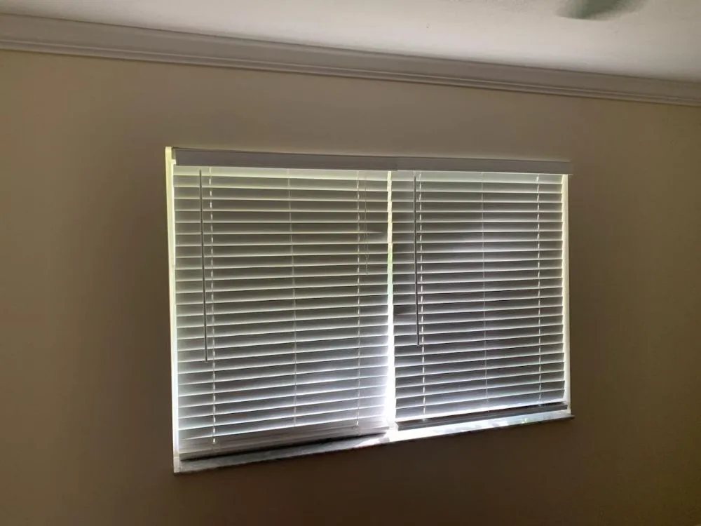 Professional yard cleanup service experts serving Riviera Beach, FL - Gills I Know a Guy