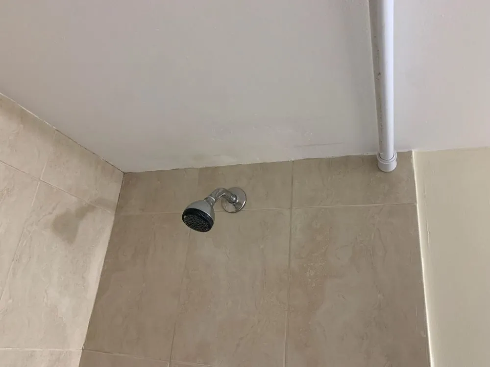 Affordable outdoor landscaping in Riviera Beach, FL - Gills I Know a Guy