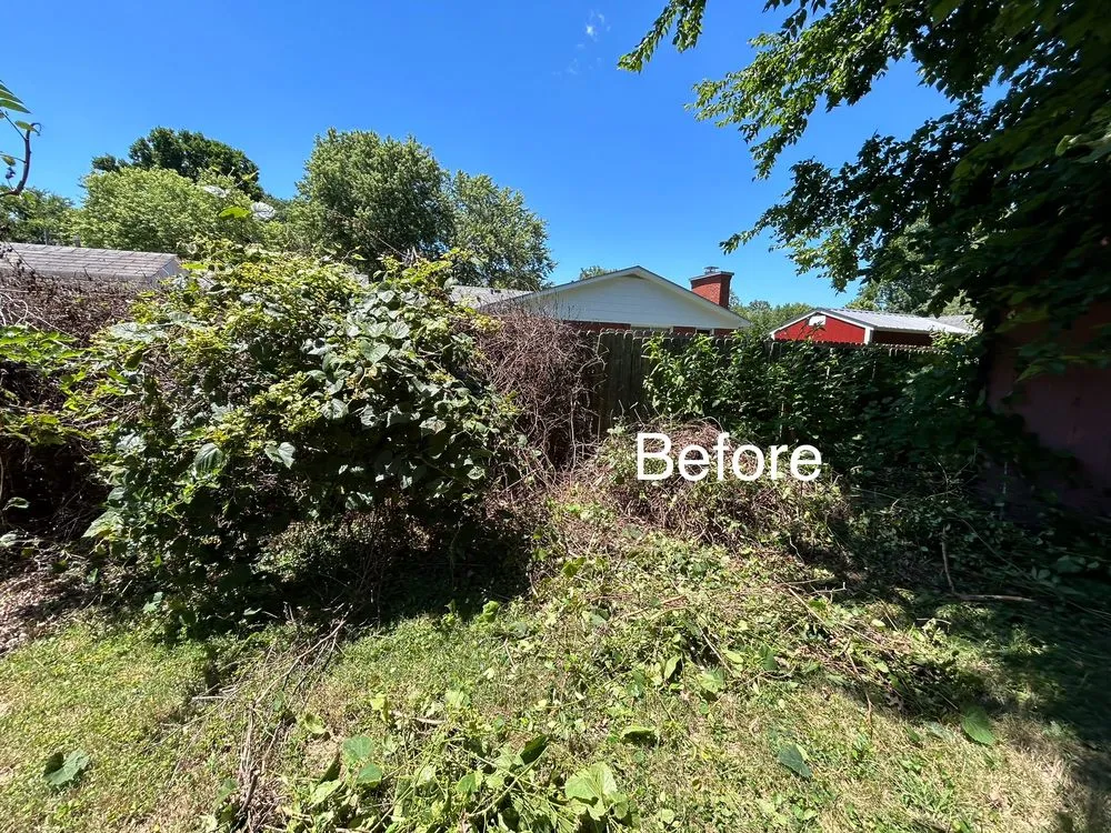 Expert garden landscaping for outdoor upgrades across Louisville, KY - Gilly Grass Home Exterior Services