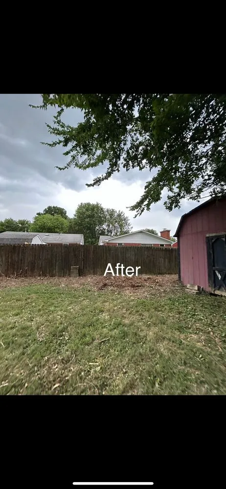 Custom lawn care service in Louisville, KY by Gilly Grass Home Exterior Services