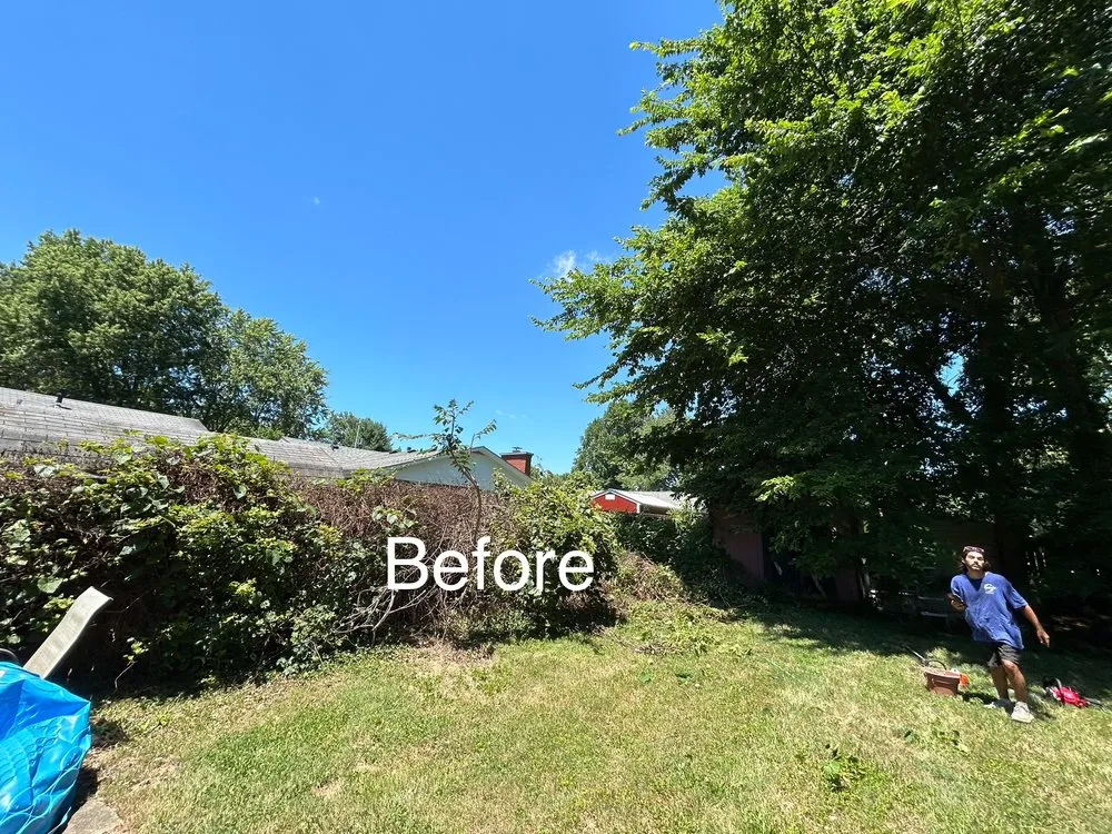 Trusted lawn care service experts serving Louisville, KY - Gilly Grass Home Exterior Services