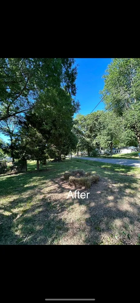 Reliable landscape design in Louisville, KY by Gilly Grass Home Exterior Services