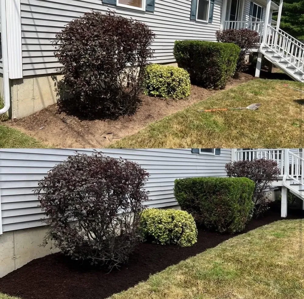 Professional garden landscaping in San Bernardino, CA by Gilly’s Lawn Service