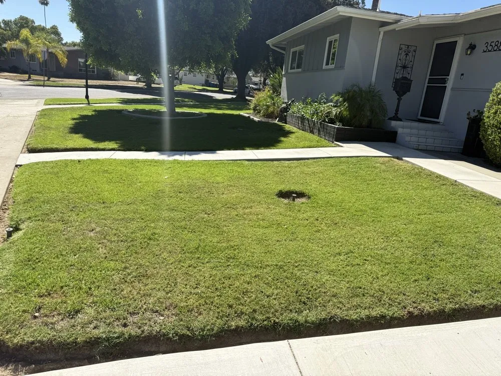 Reliable lawn mowing service in San Bernardino, CA - Gilly’s Lawn Service