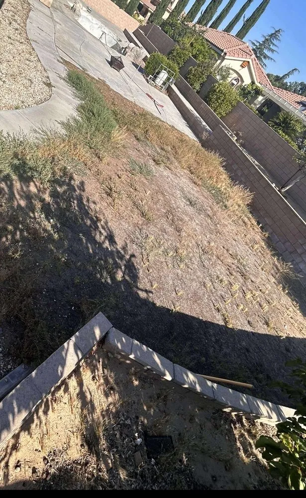 Affordable lawn care service near you across San Bernardino, CA - Gilly’s Lawn Service