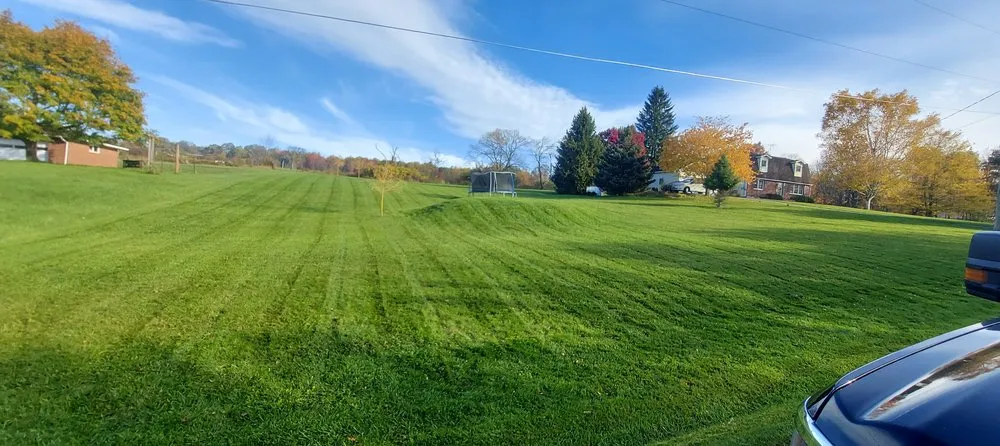 Professional yard cleanup service in Corning, NY by Gilmore Lawn Service