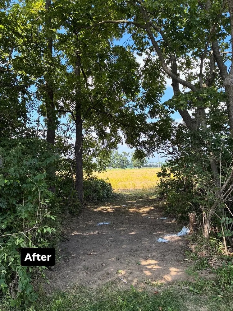 Professional residential landscaping in Grove City, OH - Gilmore Property Service