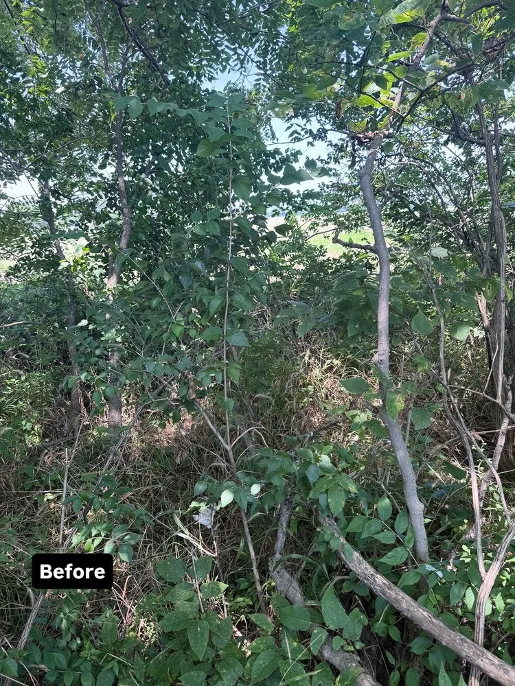 Top-rated outdoor landscaping in Grove City, OH - Gilmore Property Service