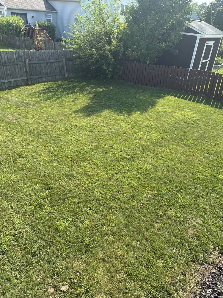 Trusted landscaping services for year-round maintenance across Grove City, OH - Gilmore Property Service