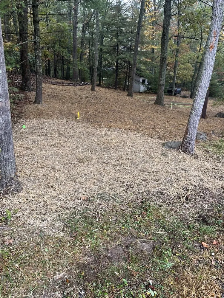 Reliable landscaping services near you in Tannersville, PA by Gilroy Northeast