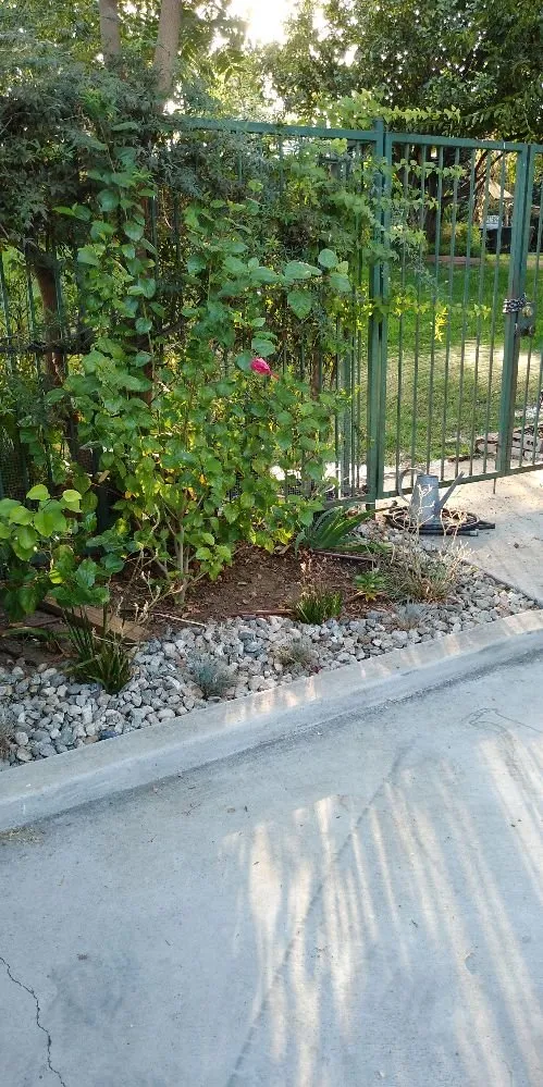 Custom landscape design experts serving Bakersfield, CA - Gil's Garden Landscape