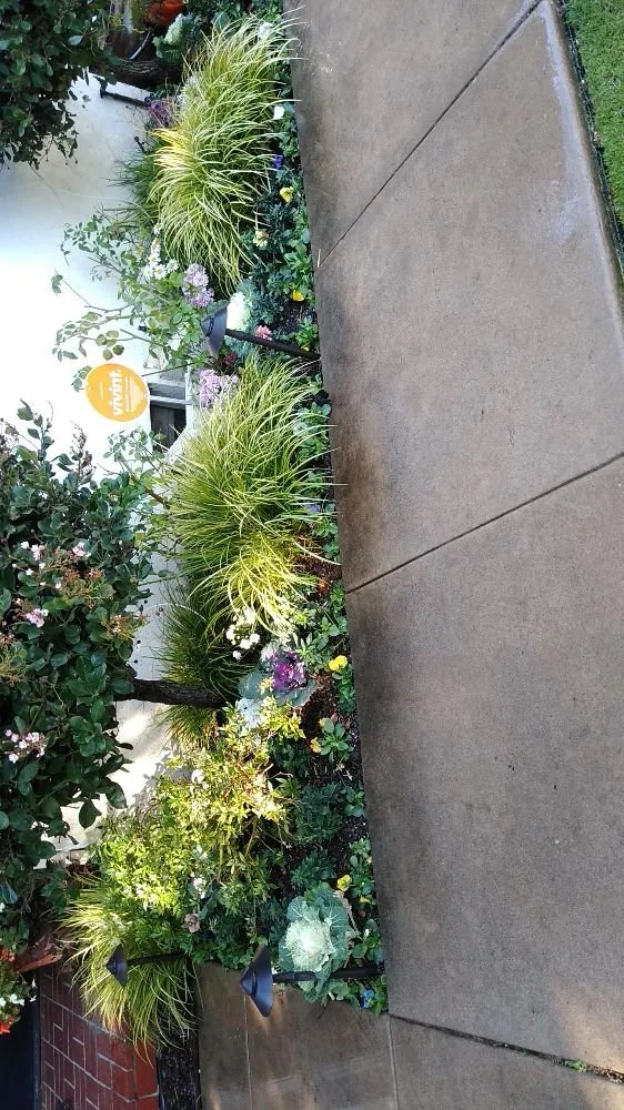 Professional landscape installation for homes across Bakersfield, CA - Gil's Garden Landscape