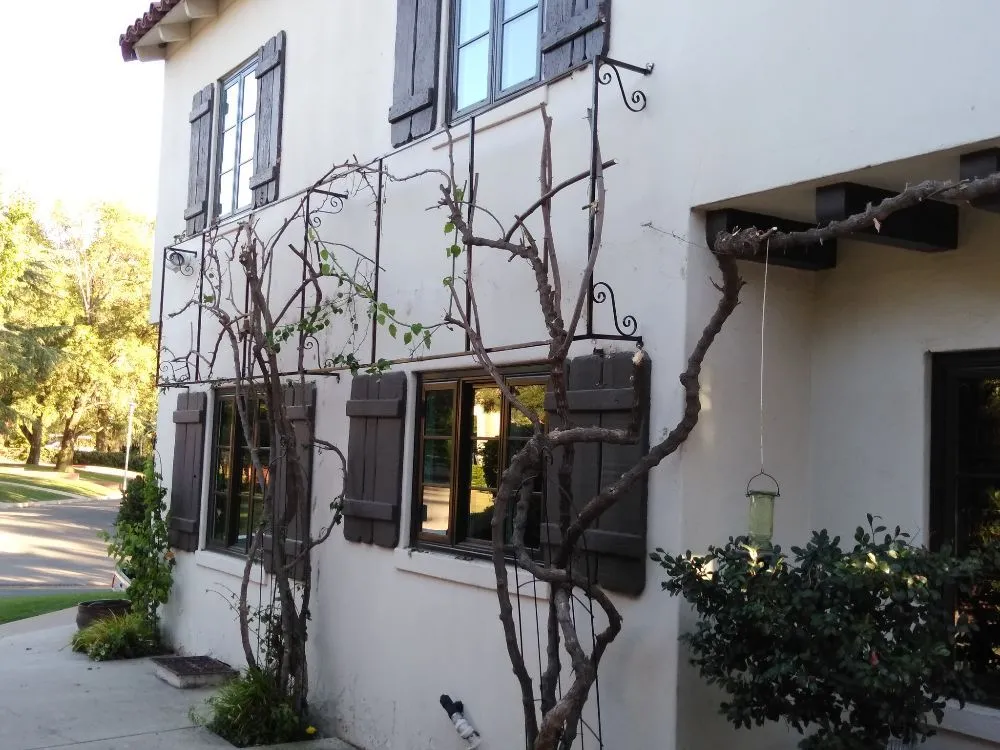 Professional lawn care service in Bakersfield, CA - Gil's Garden Landscape