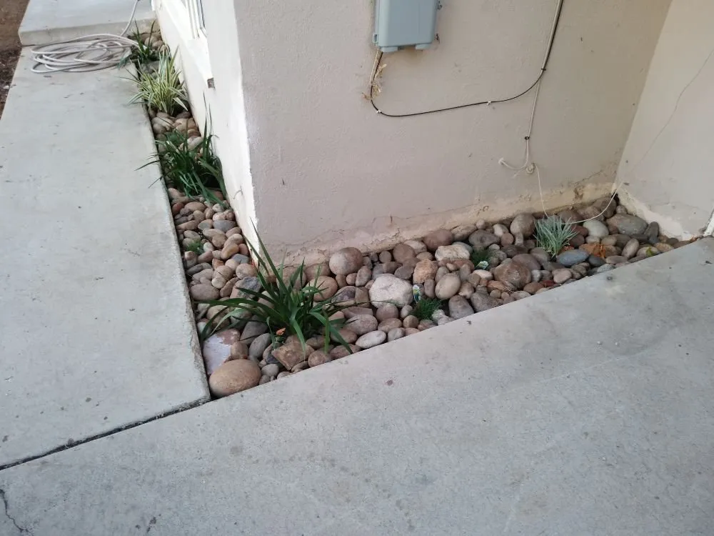 Local outdoor landscaping for beautiful yards in Bakersfield, CA by Gil's Garden Landscape