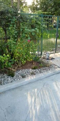 Gil's Garden Landscape Logo