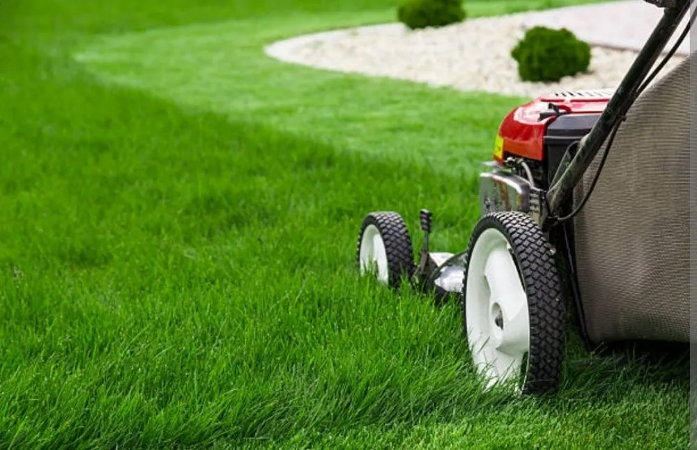 Custom landscape design for homes in Hemet, CA by Gil's Landscape Services