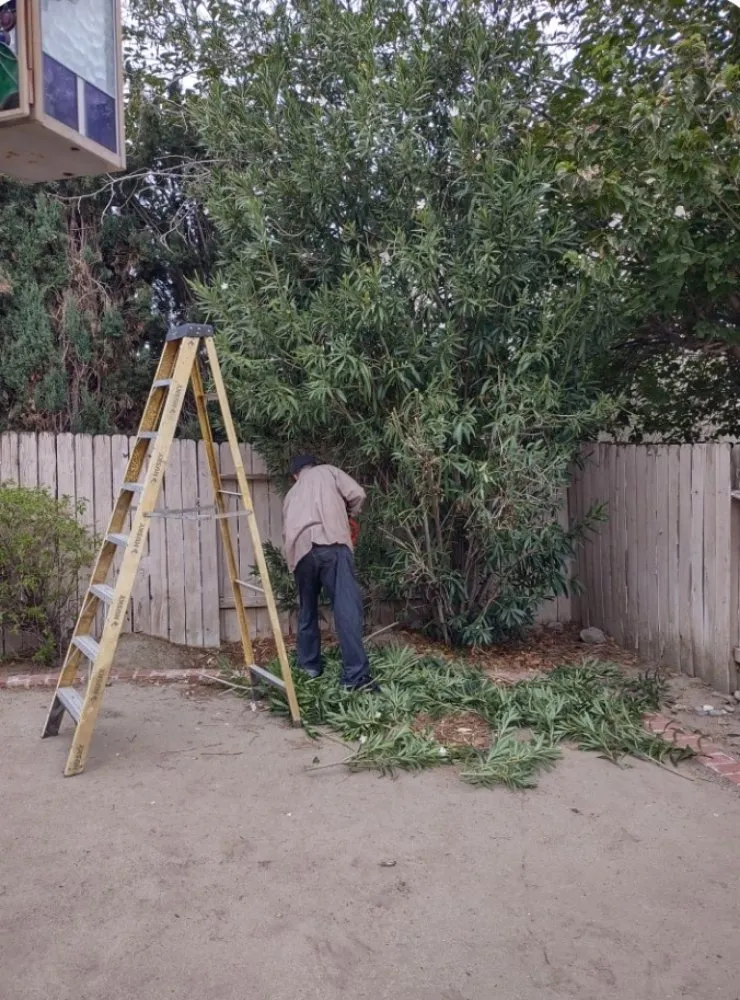 Local lawn care service in Hemet, CA - Gil's Landscape Services