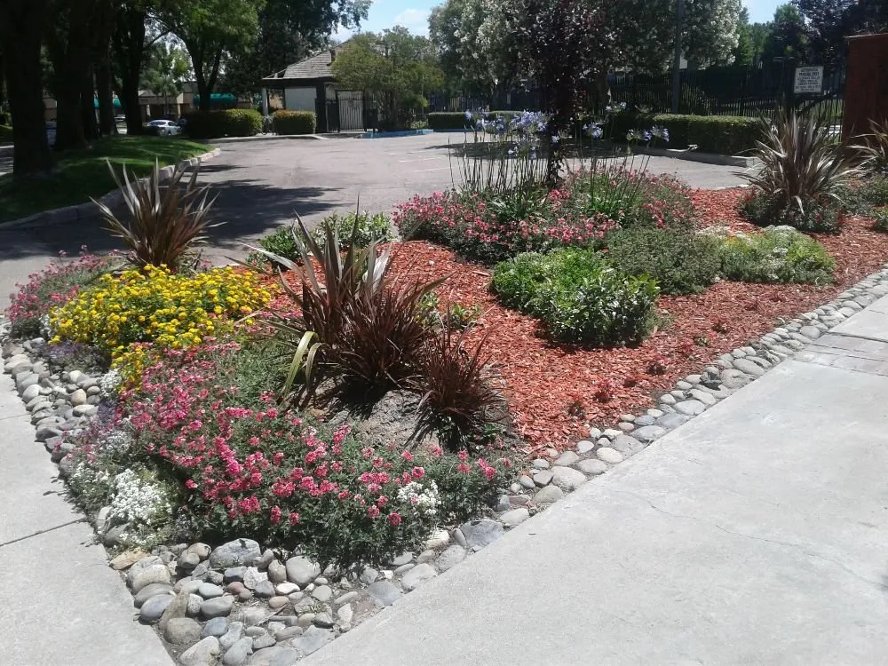 Custom lawn mowing service experts serving French Camp, CA - Gil's Landscaping and Tree Service